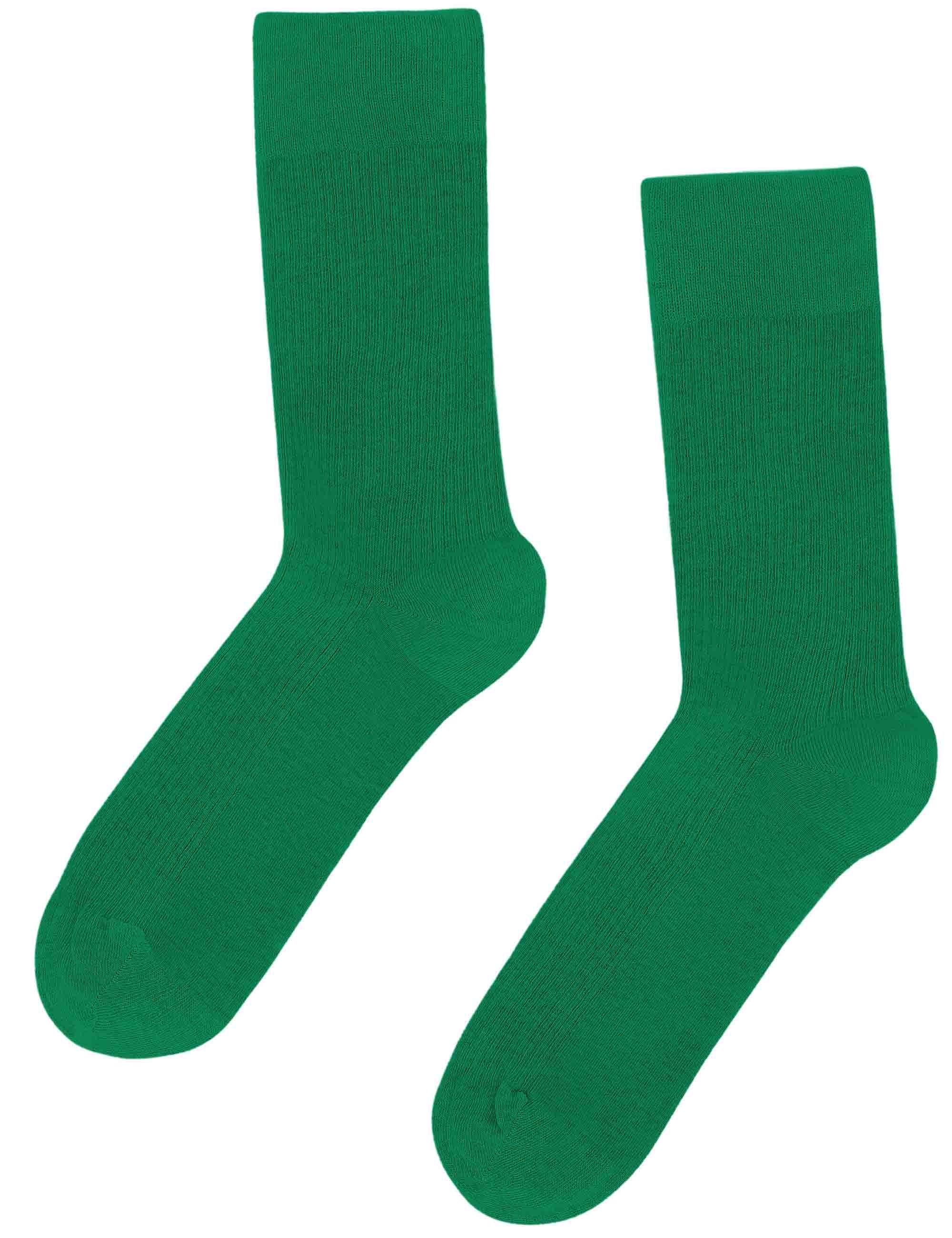 Women's Classic Organic Socks - Kelly Green