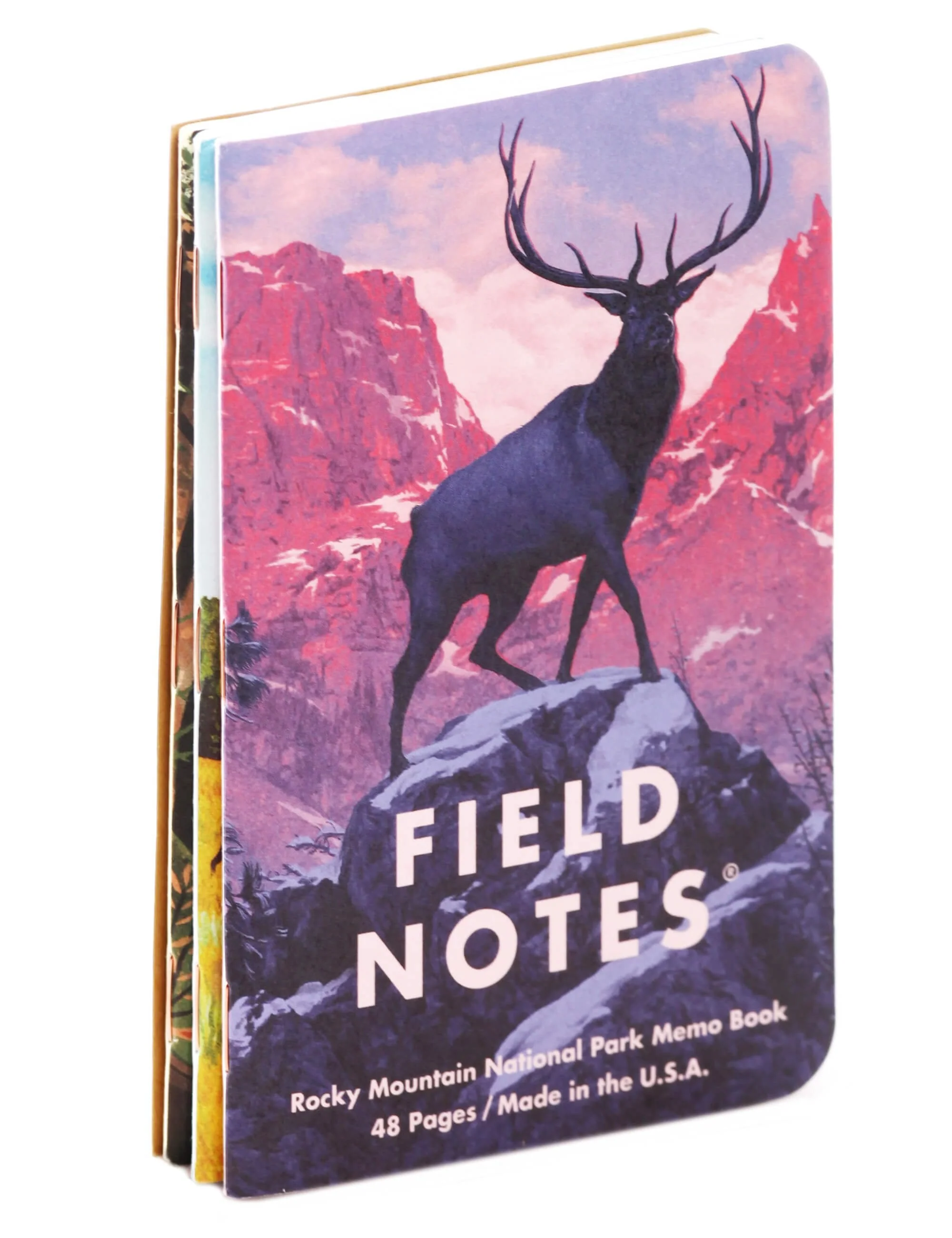 National Parks Notebooks - Series C - Image 5