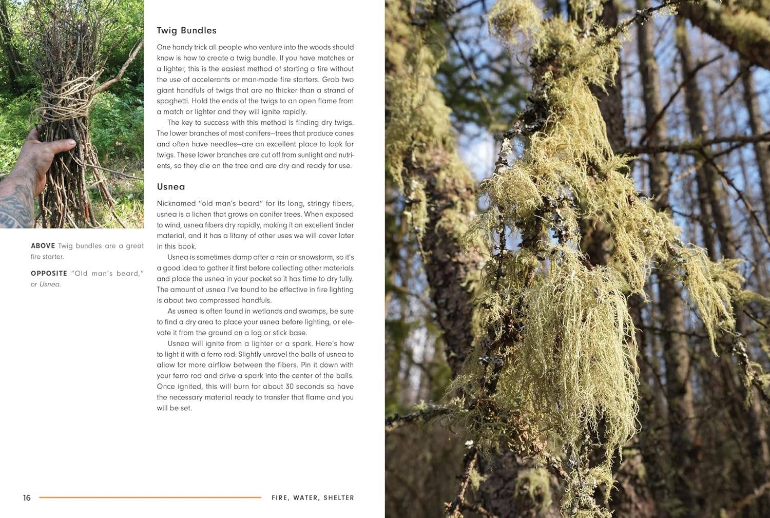 Fire, Water, Shelter Book by Ryan Marshall - Image 5