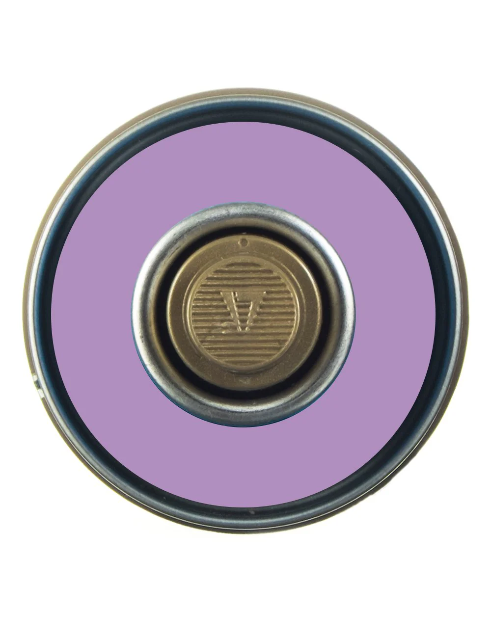 Spray Paint 400ml - Viola G4210 - Image 2