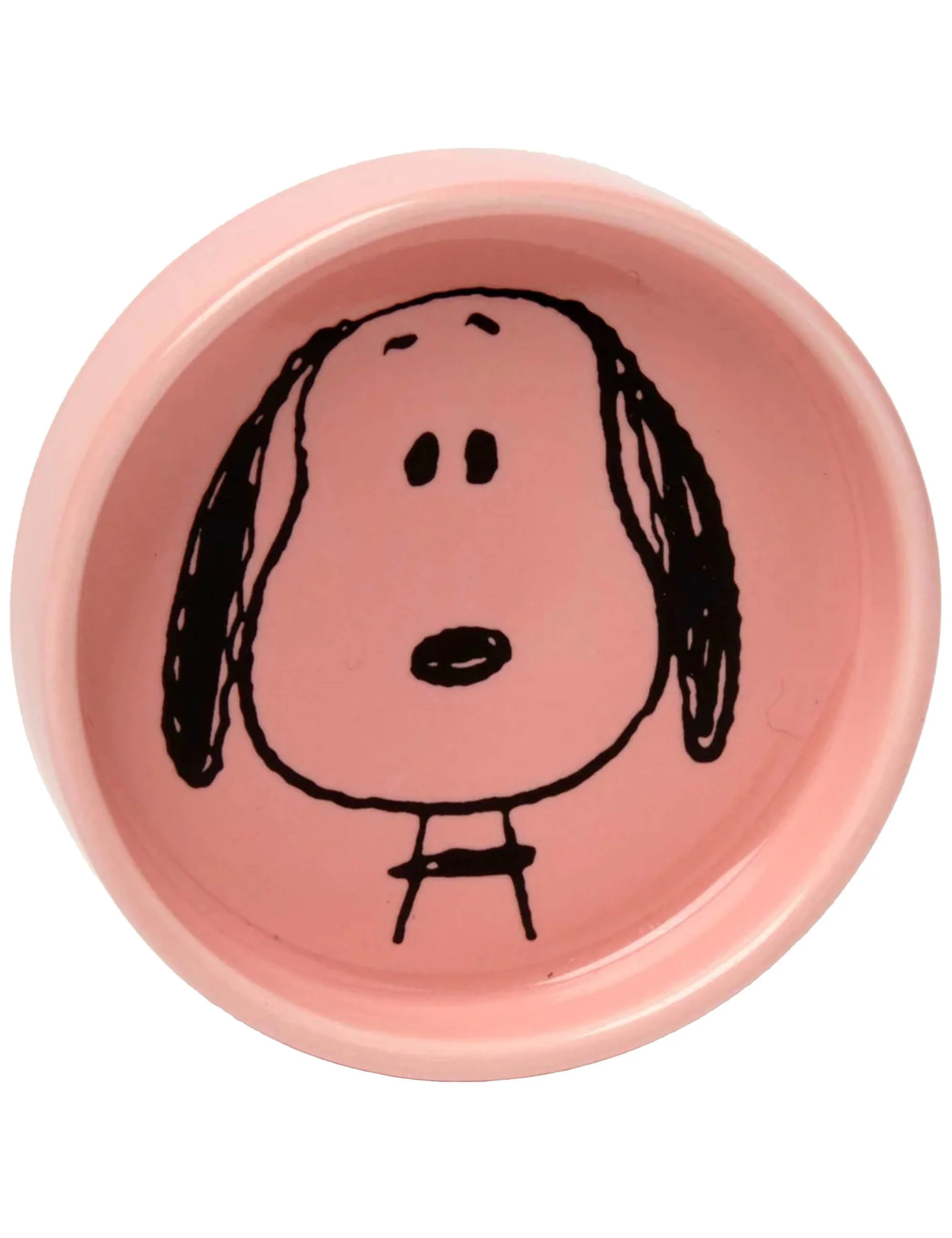 Snoopy Pin Dish - Visage
