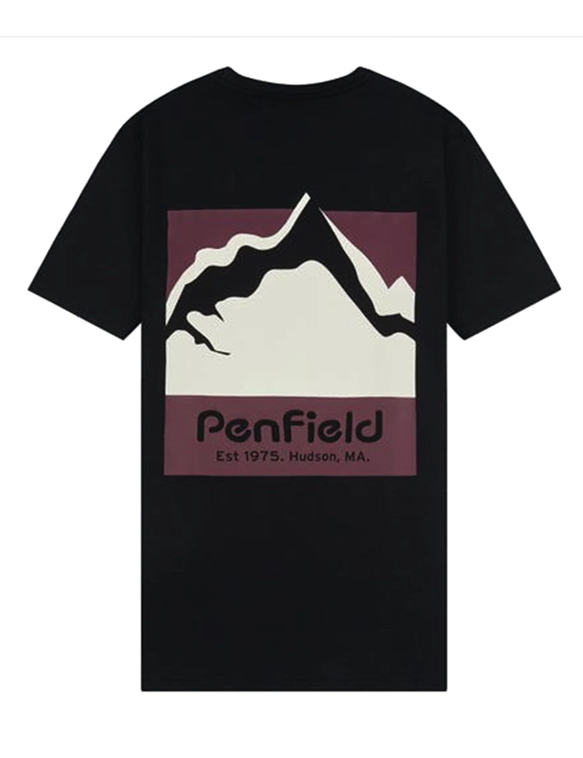 Mount Scene Graphic T-Shirt - Black