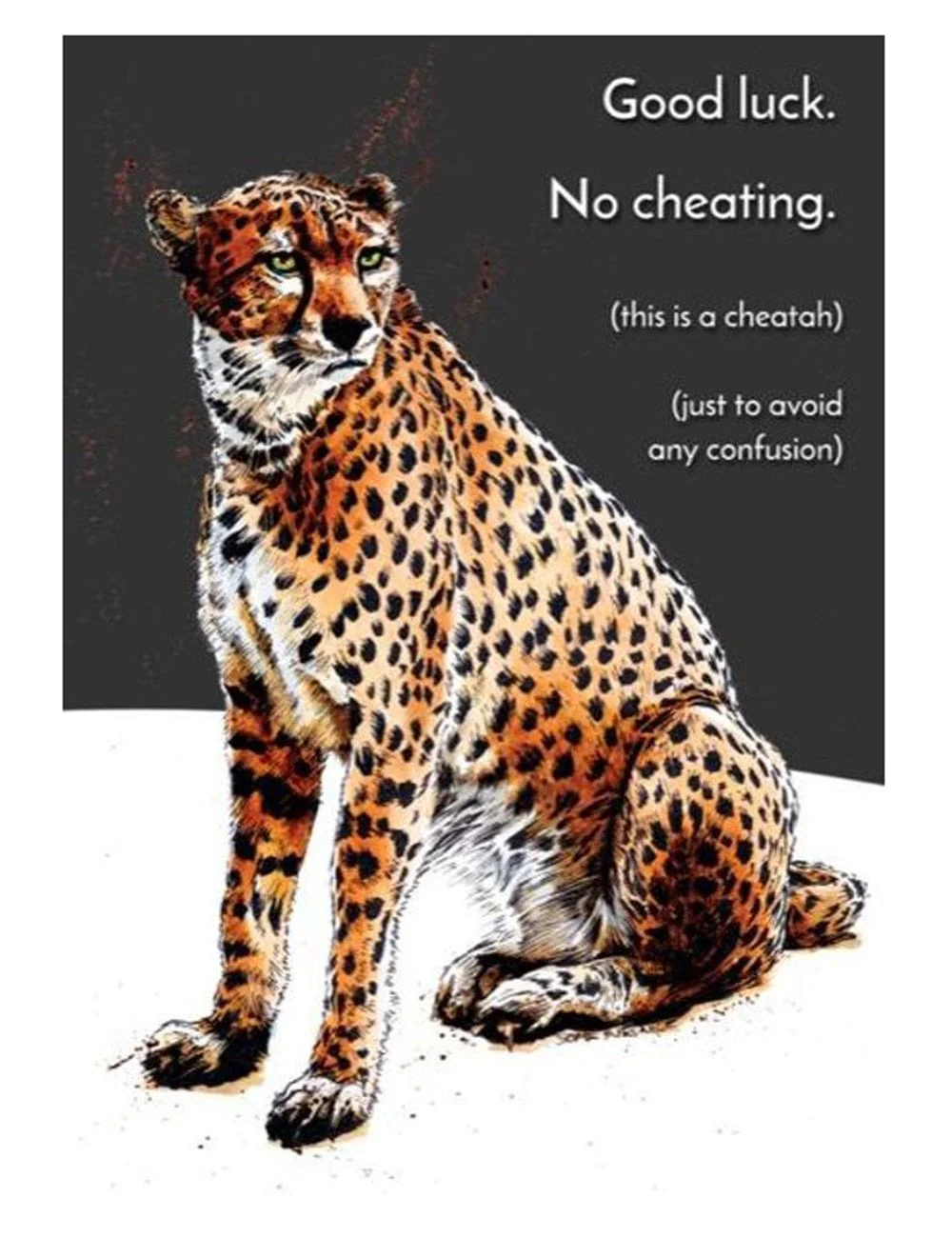 Cheating Cheatah Greeting Cards