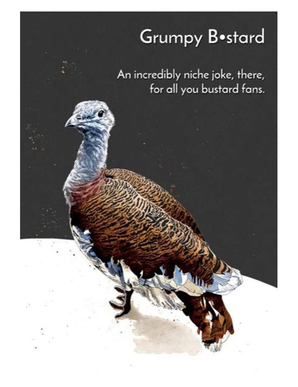 Grumpy Bustard Greeting Cards